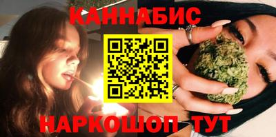 крисы Новозыбков
