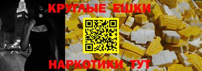 крисы Новозыбков