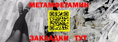крисы Новозыбков