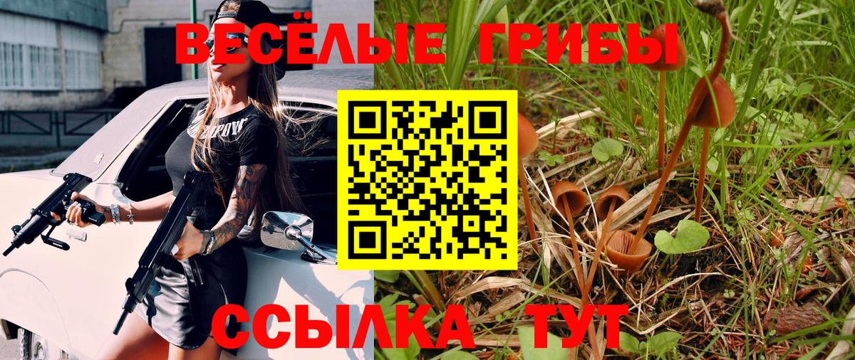 Галлюциногенные грибы GOLDEN TEACHER  Вход с VPN  Пугачёв 