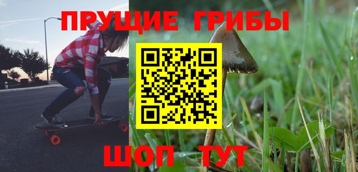 Псилоцибиновые грибы GOLDEN TEACHER Пугачёв