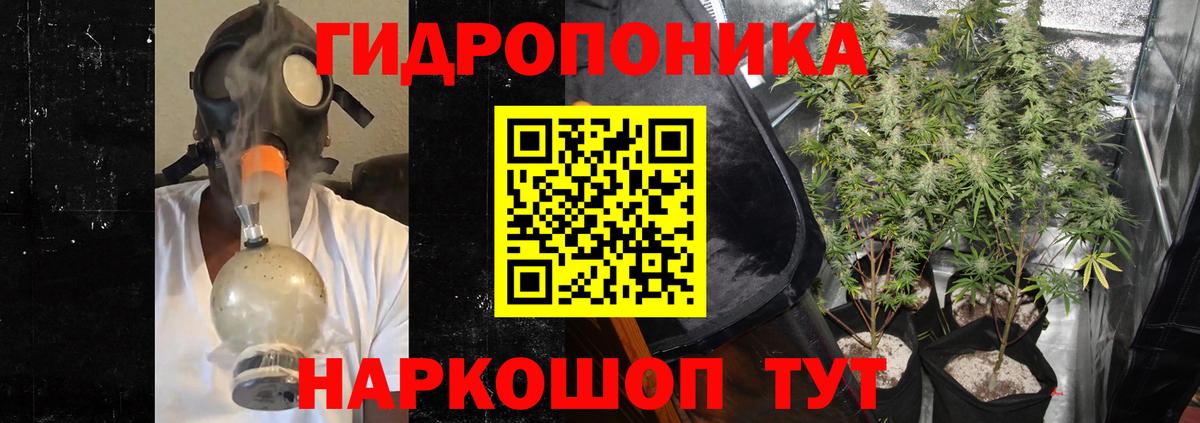 Пугачёв  Каннабис Amnesia  МАРИХУАНА SATIVA & INDICA  МАРИХУАНА марихуана  Марихуана SATIVA & INDICA  Вход с VPN 